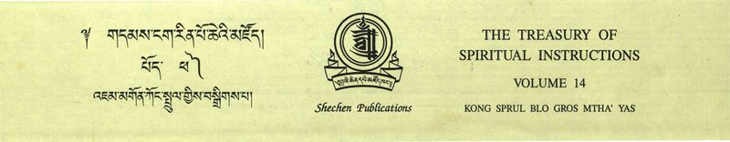 DNZ Shechen Tsadra Scan Cover Volume 14.jpg