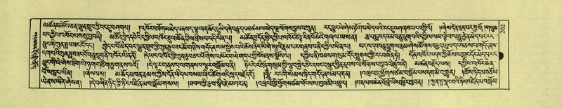 File:DNZ-Shechen-01-KA-009.pdf