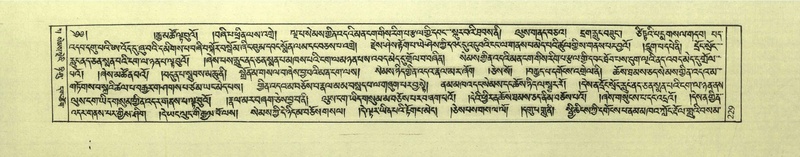 File:DNZ-Shechen-01-KA-009.pdf