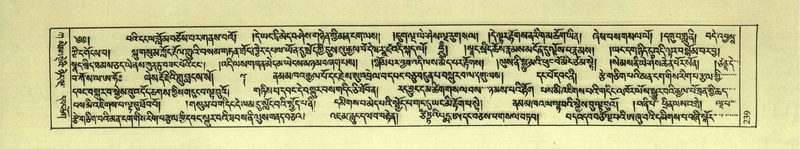 File:DNZ-Shechen-01-KA-009.pdf