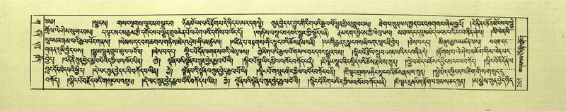 File:DNZ-Shechen-01-KA-010.pdf