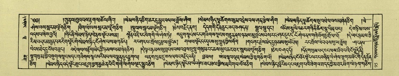 File:DNZ-Shechen-02-KHA-007.pdf