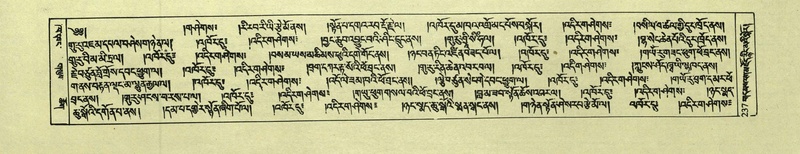File:DNZ-Shechen-02-KHA-011.pdf