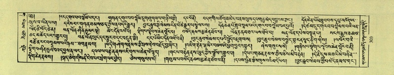 File:DNZ-Shechen-03-GA-009.pdf