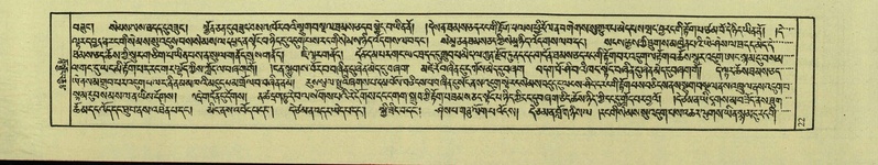 File:DNZ-Shechen-04-NGA-001.pdf