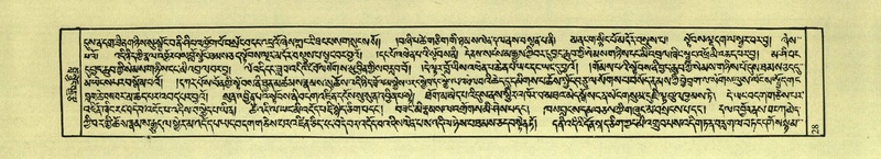 File:DNZ-Shechen-04-NGA-001.pdf