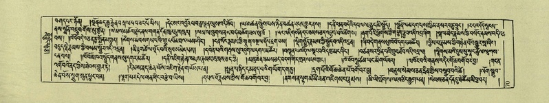 File:DNZ-Shechen-04-NGA-003.pdf