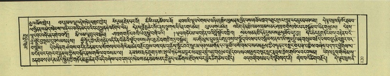 File:DNZ-Shechen-04-NGA-005.pdf