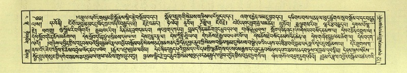 File:DNZ-Shechen-04-NGA-005.pdf