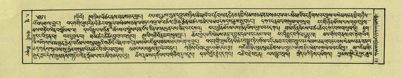 File:DNZ-Shechen-04-NGA-005.pdf