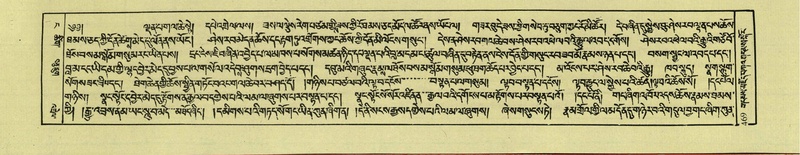 File:DNZ-Shechen-04-NGA-017.pdf