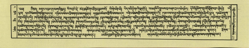File:DNZ-Shechen-04-NGA-019.pdf