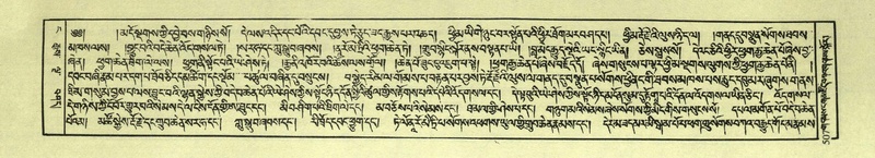 File:DNZ-Shechen-04-NGA-019.pdf