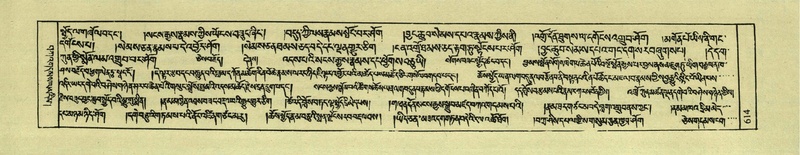 File:DNZ-Shechen-04-NGA-022.pdf