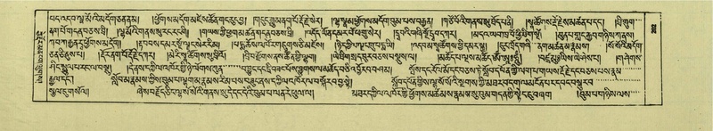 File:DNZ-Shechen-05-CA-005.pdf