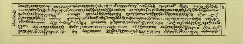 File:DNZ-Shechen-05-CA-005.pdf