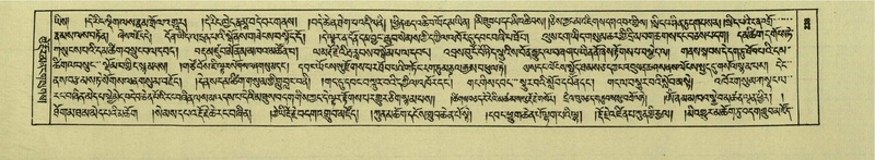 File:DNZ-Shechen-05-CA-005.pdf