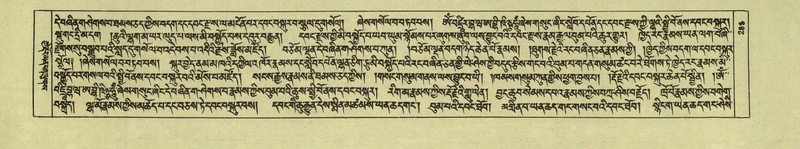 File:DNZ-Shechen-05-CA-006.pdf