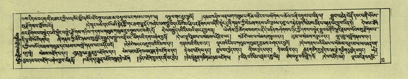 File:DNZ-Shechen-06-CHA-003.pdf