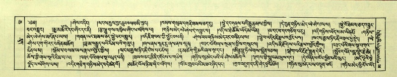 File:DNZ-Shechen-06-CHA-008.pdf