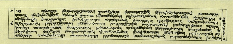 File:DNZ-Shechen-06-CHA-008.pdf
