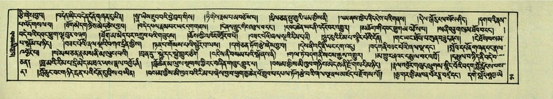 File:DNZ-Shechen-06-CHA-008.pdf