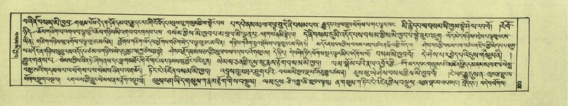 File:DNZ-Shechen-06-CHA-008.pdf