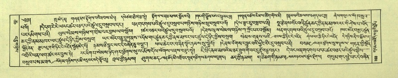 File:DNZ-Shechen-06-CHA-008.pdf