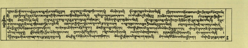File:DNZ-Shechen-06-CHA-009.pdf