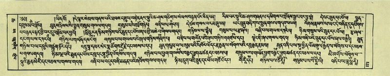 File:DNZ-Shechen-06-CHA-011.pdf
