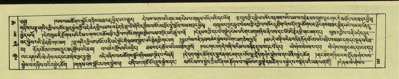 File:DNZ-Shechen-06-CHA-011.pdf