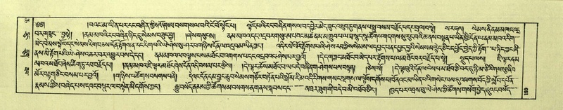 File:DNZ-Shechen-06-CHA-013.pdf