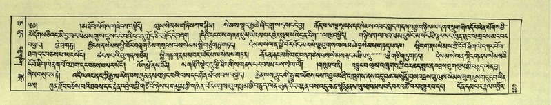 File:DNZ-Shechen-06-CHA-013.pdf