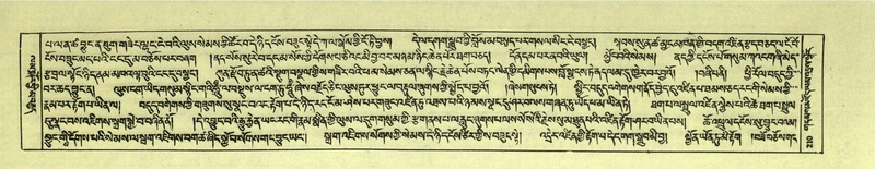 File:DNZ-Shechen-06-CHA-013.pdf