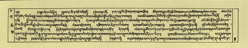 File:DNZ-Shechen-06-CHA-013.pdf