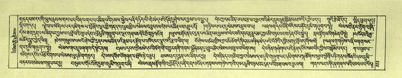 File:DNZ-Shechen-06-CHA-014.pdf