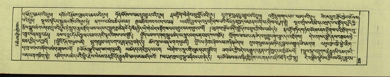 File:DNZ-Shechen-06-CHA-014.pdf