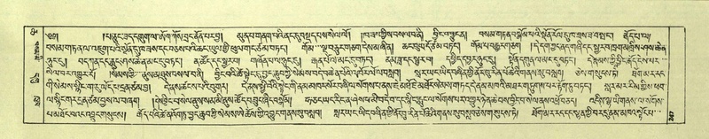 File:DNZ-Shechen-06-CHA-015.pdf