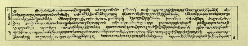 File:DNZ-Shechen-06-CHA-015.pdf