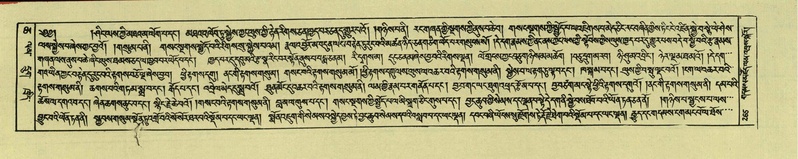 File:DNZ-Shechen-06-CHA-016.pdf