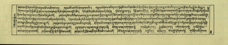 File:DNZ-Shechen-06-CHA-017.pdf