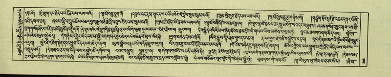File:DNZ-Shechen-06-CHA-018.pdf