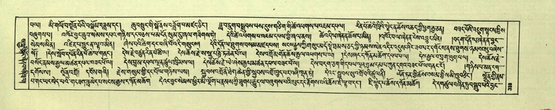 File:DNZ-Shechen-06-CHA-020.pdf
