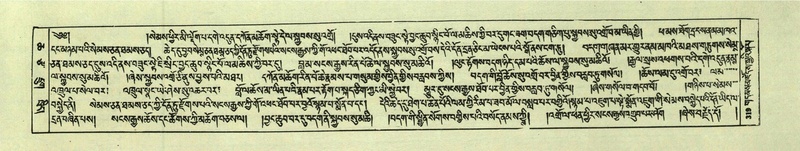 File:DNZ-Shechen-06-CHA-020.pdf