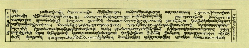 File:DNZ-Shechen-06-CHA-020.pdf