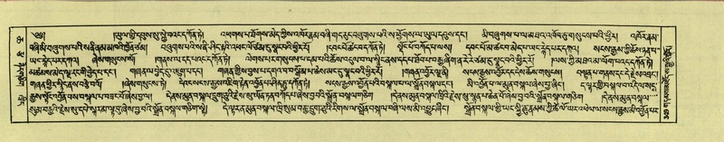 File:DNZ-Shechen-06-CHA-020.pdf