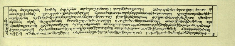 File:DNZ-Shechen-06-CHA-020.pdf