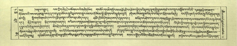 File:DNZ-Shechen-08-NYA-003.pdf