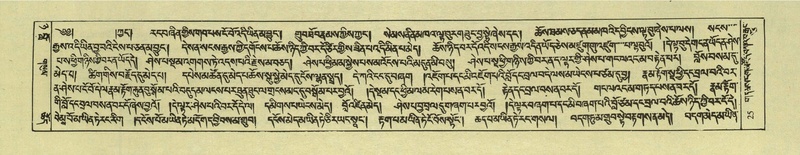 File:DNZ-Shechen-08-NYA-003.pdf