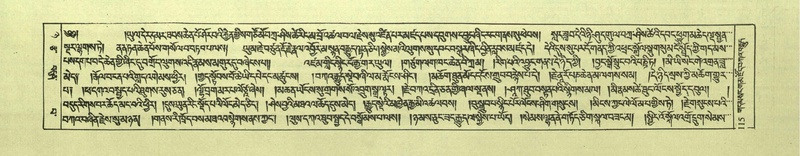 File:DNZ-Shechen-08-NYA-007.pdf